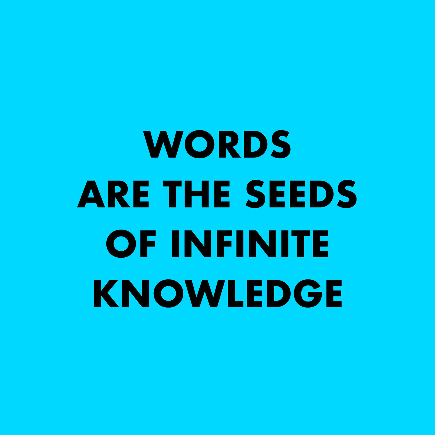 Words Are The Seeds Of Infinite Knowledge-Joseph Wheeler Author Words Words Words Book